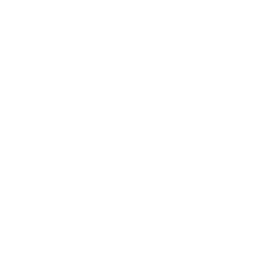 Visita la Pagina Facebook di Guizzy